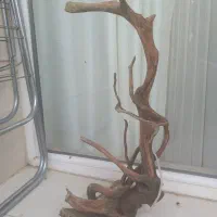 چوب آبنوس