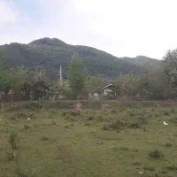 زمین مسکونی ۱۰۰۰/mسراوان بانامه بنیادویوکوه وجنگل.