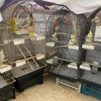 قفس پایه دار