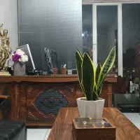 وکیل پایه یک متخصص دعاوی خانواده