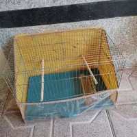 لوازم پرنده|لوازم جانبی حیوانات|ابرکوه, |دیوار