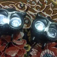 هدلایت جغدی|لامپ و چراغ|دورود, |دیوار