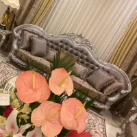 مبلمان کلاسیک استقبال|مبلمان خانگی و میز عسلی|تهران, محمودیه|دیوار