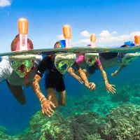 آموزش اسنورکلینگ خصوصی و تفریحی