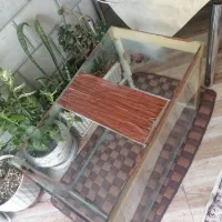 آکواریوم سالم نسبتا بزرگ