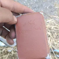 مدارک پیدا شده