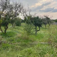 200متری-داخل-بافت-600میلیون