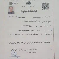 کارشناس تشخیص رنگ، فنی خودرو ۱۰۰%تضمینی