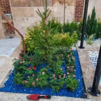 خدمات باغبانی باغچه کاری گل کاری تعویض خاک گلدون|خدمات باغبانی و درختکاری|تهران, صادقیه|دیوار