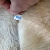 فروش پالتو قدیمی نونو