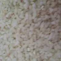 برنج طارم دورود