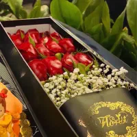 باکس گل رز هلندی دسته گل طبیعی شوک قیمت باورنکردنی|گل و گیاه طبیعی|مشهد, آزادشهر|دیوار