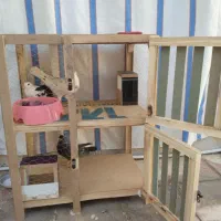 کبوتر|پرنده|شیراز, شیخ علی چوپان|دیوار