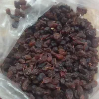 انواع خشکبار با قیمت مناسب