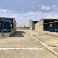 مجتمع کشت صنعت ودامداری|فروش دفتر صنعتی، کشاورزی، تجاری|تهران, ظفر|دیوار