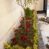 خدمات باغبانی گلکاری هرس کاری تعویض خاک گلدان|خدمات باغبانی و درختکاری|پردیس, فاز ۸|دیوار