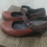 فروش کفش|کیف، کفش، کمربند|الشتر, |دیوار