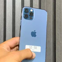iPhone 12 Pro|موبایل|همدان, |دیوار