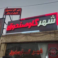 گاوصندوق خانگی کد ۱۰