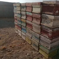 کندو خالی زنبور