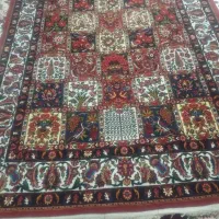 قالی ۲/۵×۱/۵ طرح چالشتری|فرش|شهرکرد, |دیوار