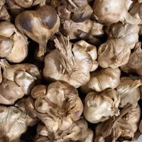 سیر سیاه اصل درمانی و برای لاغری