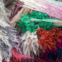 گل خشک|گل و گیاه طبیعی|رباط‌کریم, الارد|دیوار