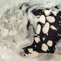 آکواریوم سالم به همراه سنگها|ماهی|زارچ, |دیوار