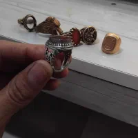 انگشترشجر نقرگوشت دار