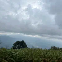 زمین تفکیکی فرودگاه