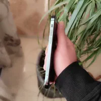 گوشی آیفون ۱۲پرو۲۵۶|موبایل|کرج, باغستان|دیوار