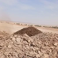 پخش و عرضه کود گاو صنعتی.|خدمات باغبانی و درختکاری|وحدتیه, |دیوار