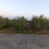 باغ دوبر در کوی پزشکان روستای کردلر (خسروشاه)