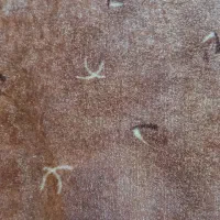 پالازموکت ۱۲متری پرزبلند