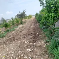 فروش-باغچه-1700متری-چهار-راه-آوج-کد-11360-nikan