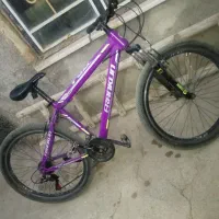 دوچرخه حرفه ایfranklin