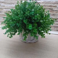 گل مصنوعی شمشاد