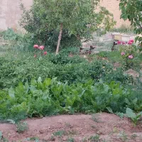 زمین در بیلوردی املاک ولیعصر|فروش زمین و ملک کلنگی|خواجه, |دیوار