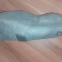شهاب سنگ