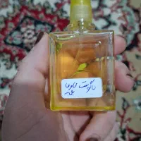 عطر لاگوست ۲۵ سی سی