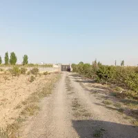 باغ فروشی حاشیه جاده نیستان 500متری با آب