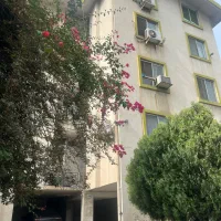 همخانه خانم بدون حاشیه و امن