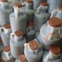 خیارشور ترشی شور