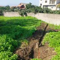 زمین منطقه آزاد ۳۰۰متر گراکو سند تک برگ|فروش زمین و ملک کلنگی|تنکابن, |دیوار