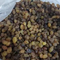 کشمش پلویی بدون تیز آب|خوردنی و آشامیدنی|قم, علی آباد سعدگان|دیوار