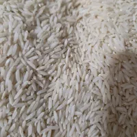 برنج هاشمی ممتاز|خوردنی و آشامیدنی|باغستان, |دیوار