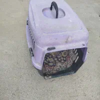 مناسب سگ و گربه