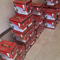 دینام کولر ۱۰۰٪مسی موتوژن و فابریکی به شرط(ضمانت)|کولر آبی|اسلامشهر, شهرک سعیدیه|دیوار