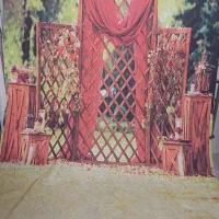 بکگراند عکاسی۲در۳