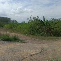 فروش زمین|فروش زمین و ملک کلنگی|طاهرگوراب, |دیوار